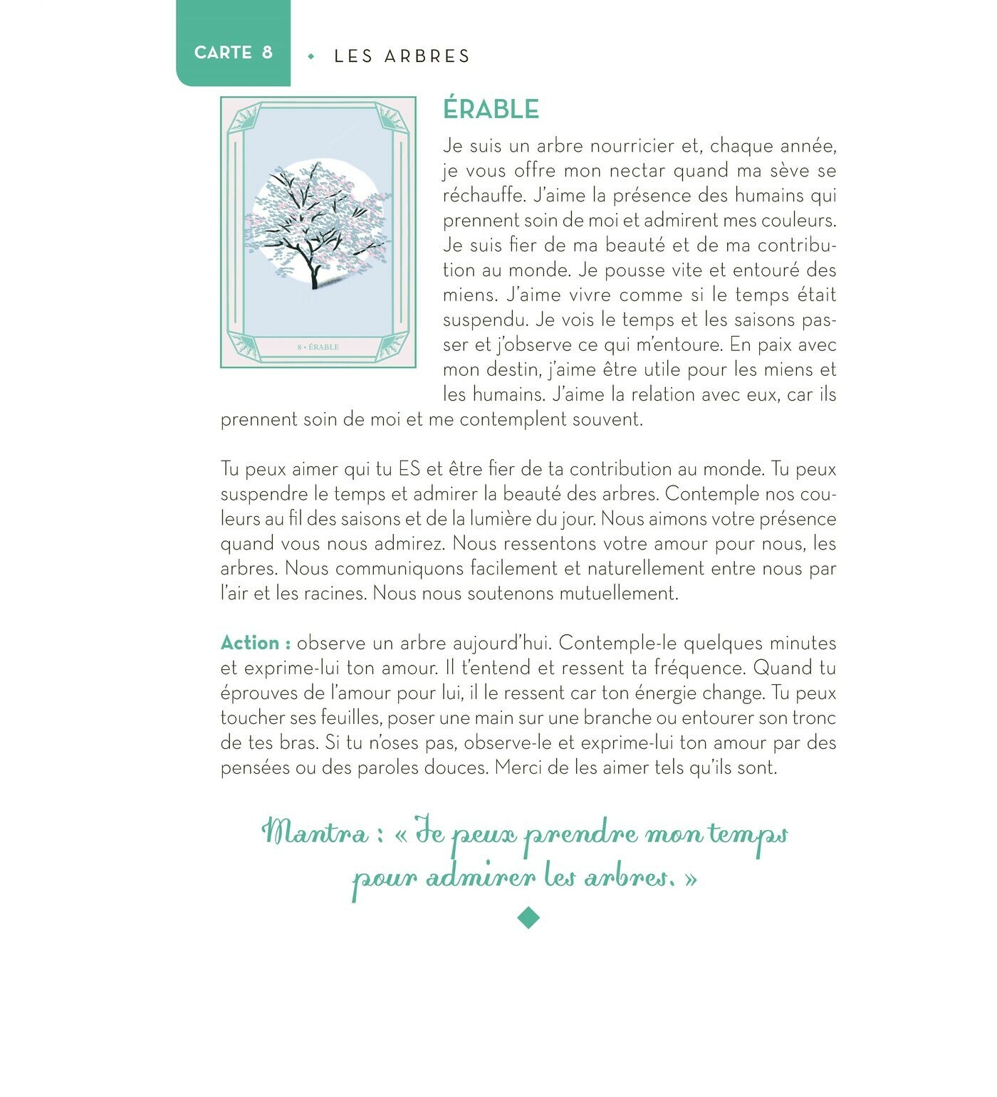 Mon oracle magique - Esprits de la nature -